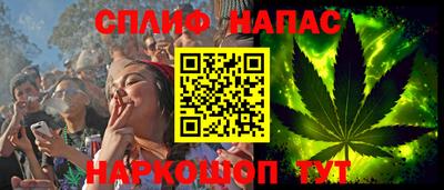 spice Кингисепп