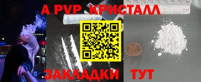 spice Кингисепп