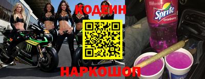 spice Кингисепп