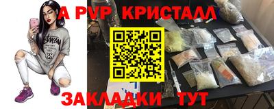 spice Кингисепп