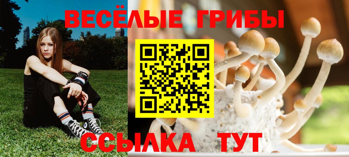 Псилоцибиновые грибы MAGIC MUSHROOMS  где продают наркотики  Кстово  Вход с VPN 